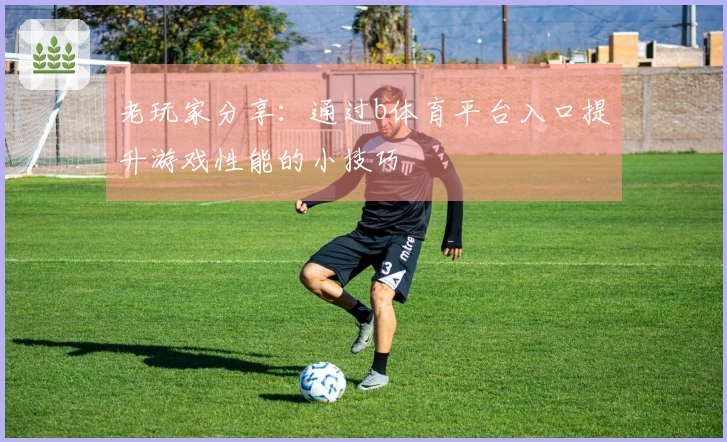 老玩家分享：通过b体育平台入口提升游戏性能的小技巧